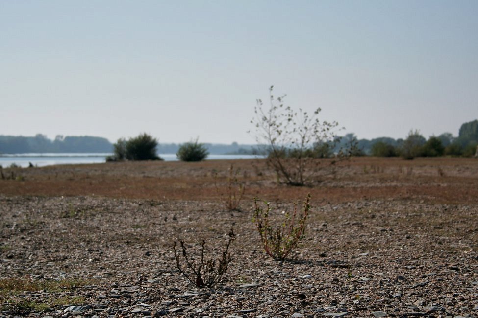 Plage de sable sur les bords de la Loire, © Mathieu Besson