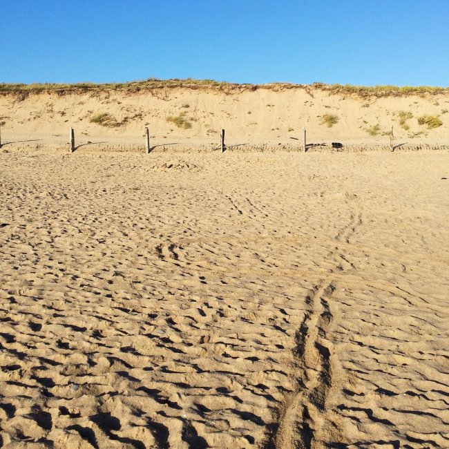 Last beach, © Mathieu Besson